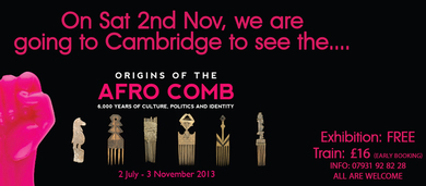 Group Trip to Cambridge to visit the Afro Comb exhibition (Fitzwilliam)