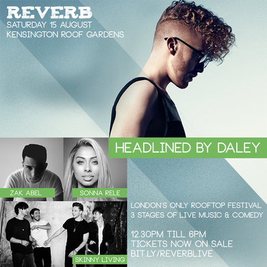 Reverb Festival - Daley