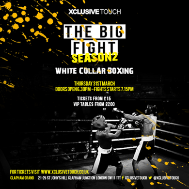 The Big Fight: Season 2