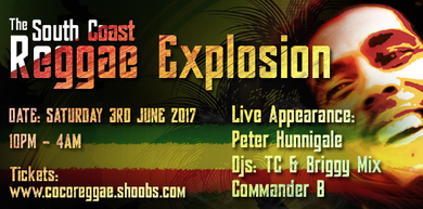 The South Coast Reggae Explosion