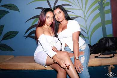 Bashment Independence Party at Pitch