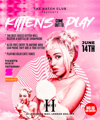 DOJO CAT KITTENS COME PLAY