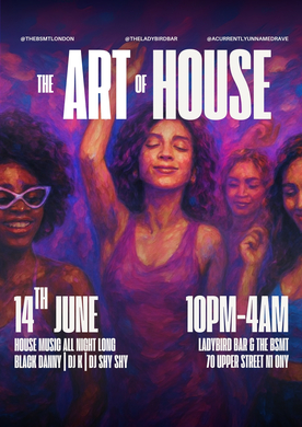 The Art of House