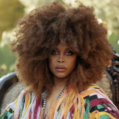 The Poetic Room - Erykah Badu Special