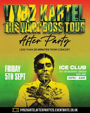 vybz kartel the concert after party 