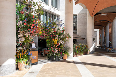 Speed Dating in the City @ The Happenstance (Ages 50-65)